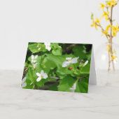 Gotta Love lieveheersbeestjes (3) Wenskaart Kaart (Gele Bloem)