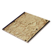 Goud bord met "kort" Etruscan-inscriptie, van Tegeltje (Zijkant)