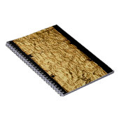 Goud bord met "langdurig" Etruscan-opschrift voor Notitieboek (Rechterzijde)