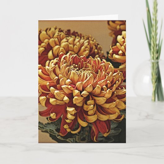 Goud en rood chrysant Wenskaart Kaart (Voorkant)