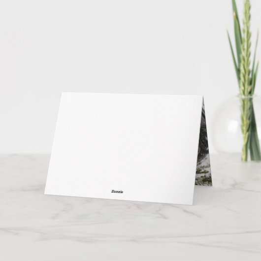 Goud en rood gewas uit Texas Kaart (Achterkant)