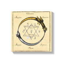 Goud en zilver Ouroboros-symbool