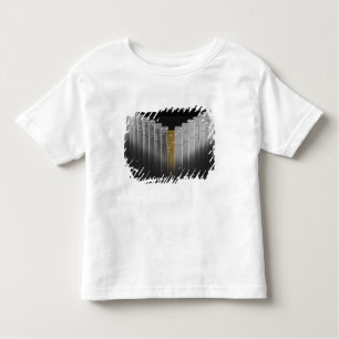 Goud- en zilverdominosen kinder shirts