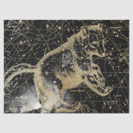 Goud en Zwarte Galaxy Sterrenkaart Serie Ontwerp 4 Tissuepapier
