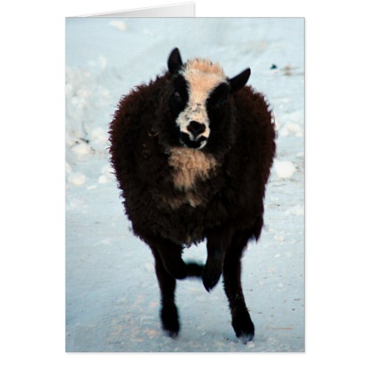 Goud gaan (Voorkant)