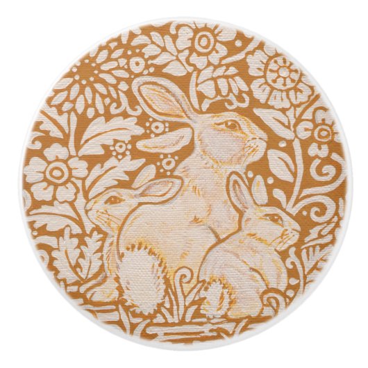 Goud Geel Wit Konijn Familie Lade Deurknop Keramische Knop (Voorkant)