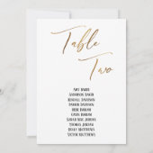 Goud handschrift Tabel 2 (Achterkant)