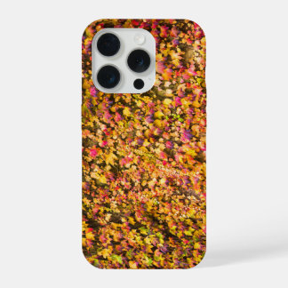 Goud herfstkleuren klimop muur iPhone 15 pro case