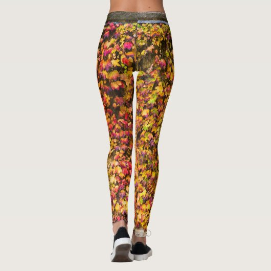 Goud herfstkleuren klimop muur leggings (Achterkant)