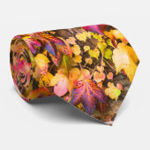 Goud herfstkleuren klimop muur stropdas (Opgerold)