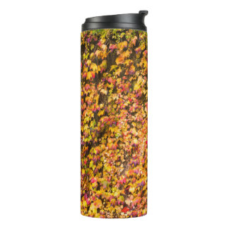 Goud herfstkleuren klimop muur thermosbeker