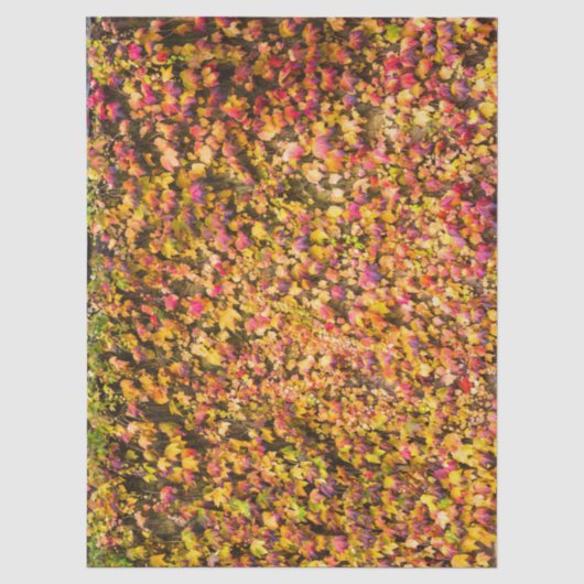 Goud herfstkleuren klimop muur tissuepapier (Voorkant)
