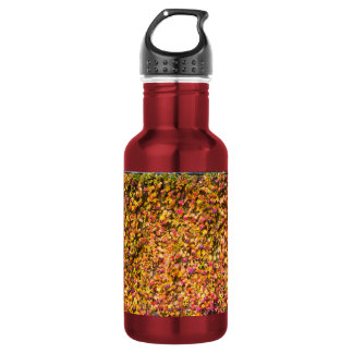 Goud herfstkleuren klimop muur waterfles