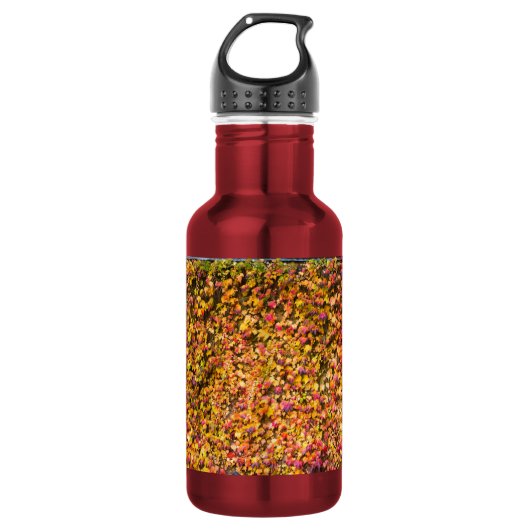 Goud herfstkleuren klimop muur waterfles (Voorkant)