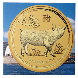 GOUD JAAR VAN DE PIG-MUNTEN TEGELTJE