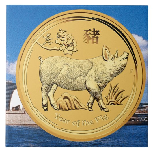 GOUD JAAR VAN DE PIG-MUNTEN TEGELTJE (Voorkant)