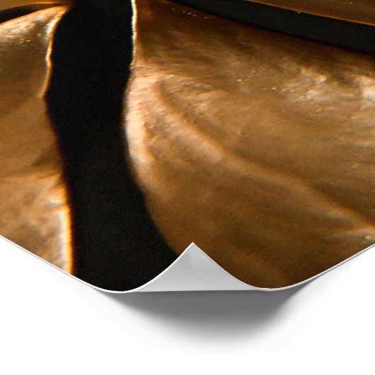 Goud monster poster (Hoek)