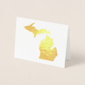 Goud of Zilver Michigan State Kaart en Zeemeeuw (Voorkant)