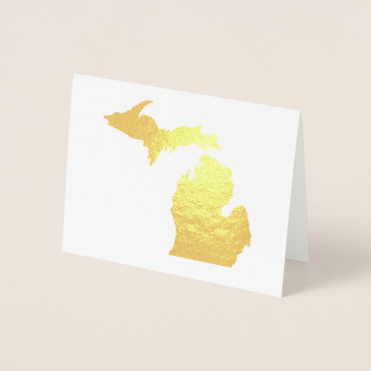 Goud of Zilver Michigan State Kaart en Zeemeeuw (Voorkant)