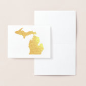 Goud of Zilver Michigan State Kaart en Zeemeeuw (Display)