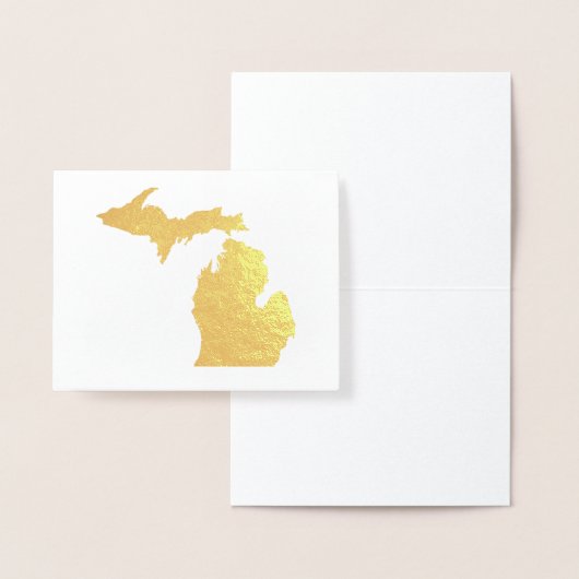 Goud of Zilver Michigan State Kaart en Zeemeeuw (Display)