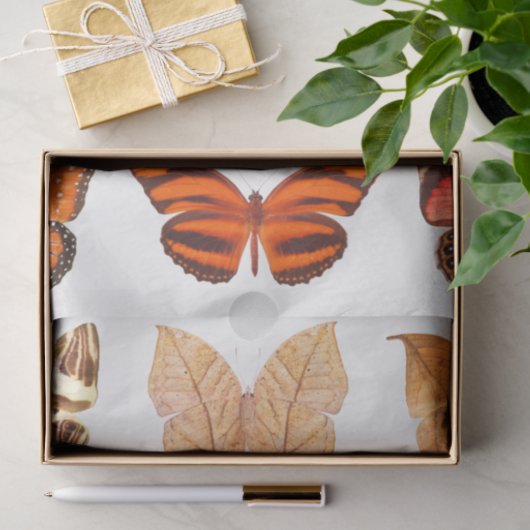 Goud Oranje Collectie van vlinder Tissuepapier (Geschenk)