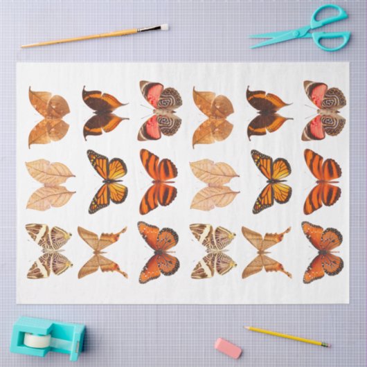 Goud Oranje Collectie van vlinder Tissuepapier (Craft)