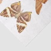 Goud Oranje Collectie van vlinder Tissuepapier (Detail)