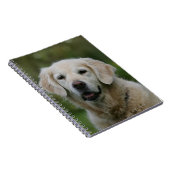 Goud Retriever Close-up 2 Notitieboek (Rechterzijde)