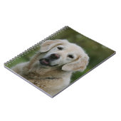 Goud Retriever Close-up 2 Notitieboek (Linkerzijde)