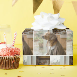 Goud Retriever die naar de regen kijkt Cadeaupapier