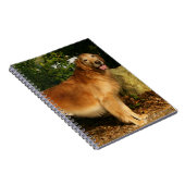 Goud Retriever Hijgt Notitieboek (Rechterzijde)