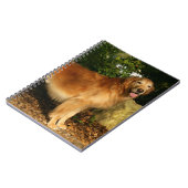 Goud Retriever Hijgt Notitieboek (Linkerzijde)