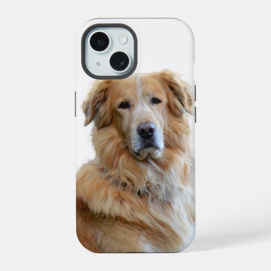 Goud Retriever Hond Foto iPhone 15 Case (Achterkant)