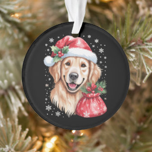 Goud Retriever Hond Kerst Licht Vakantie Feest Ornament