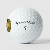 goud-retriever-in water golfballen (Logo)