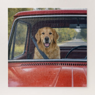 Goud Retriever met een Veiligheidsgordel Legpuzzel