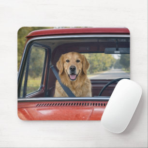 Goud Retriever met een Veiligheidsgordel Muismat