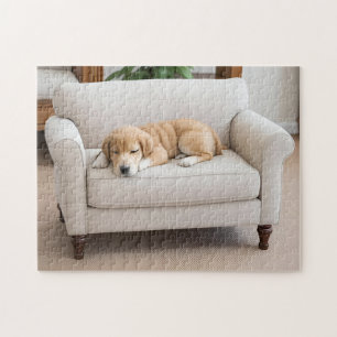 Goud Retriever Pup Slaapt Legpuzzel