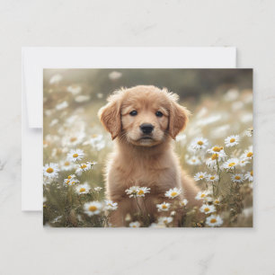 Goud Retriever Puppy Daisy Veld Briefkaart
