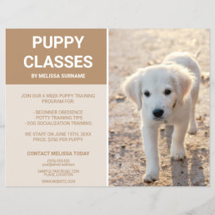 Goud Retriever Puppy Foto Aangepaste Puppy Klassen Flyer
