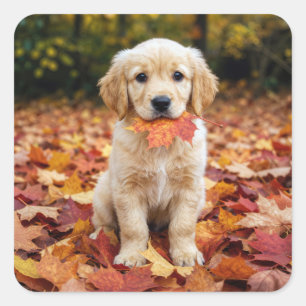 Goud Retriever Puppy in Herfstbladeren Vierkante Sticker