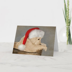 Goud Retriever Puppy Kerstmis Kaart