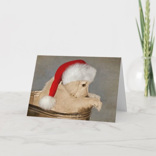 Goud Retriever Puppy Kerstmis Kaart (Voorkant)