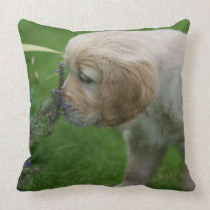 Goud Retriever Puppy Kussen