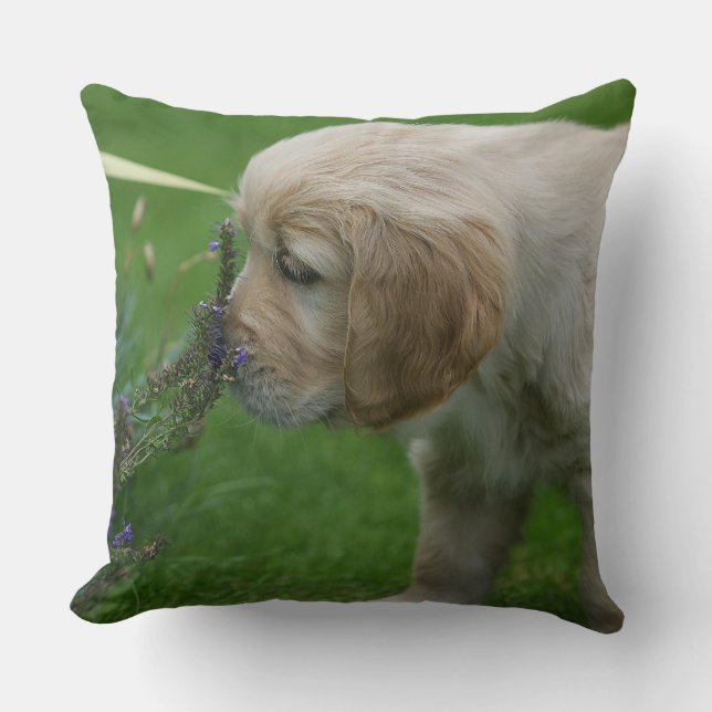 Goud Retriever Puppy Kussen (Voorkant)