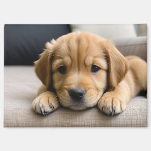 Goud Retriever Puppy Magneet