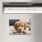 Goud Retriever Puppy Magneet (Insitu (Vaatwasser))