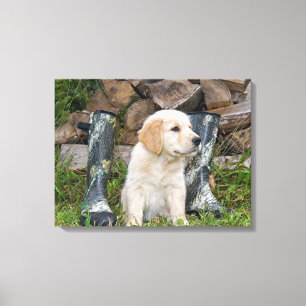 goud retriever puppy met laarzen canvas afdruk