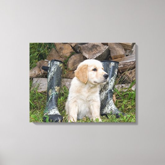 goud retriever puppy met laarzen canvas afdruk (Voorkant)